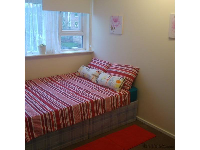 Double Room In Willesden Green!..