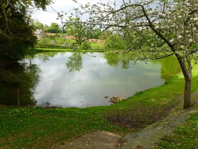 Quality Property, Lake, Outbuilding - 2