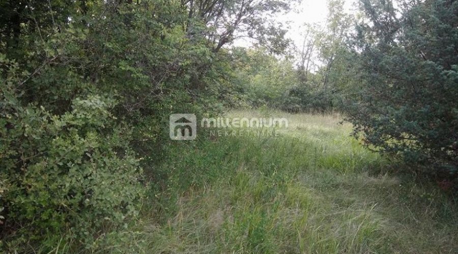 Istra, okolica Bala, poljoprivredno zemljište od 35.000m2 - 2