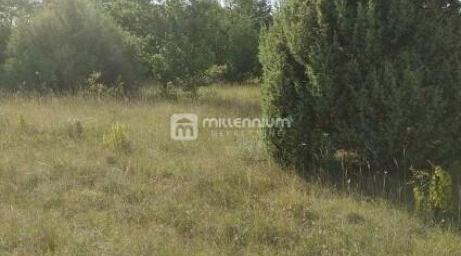 Istra, okolica Bala, poljoprivredno zemljište od 35.000m2 - 3