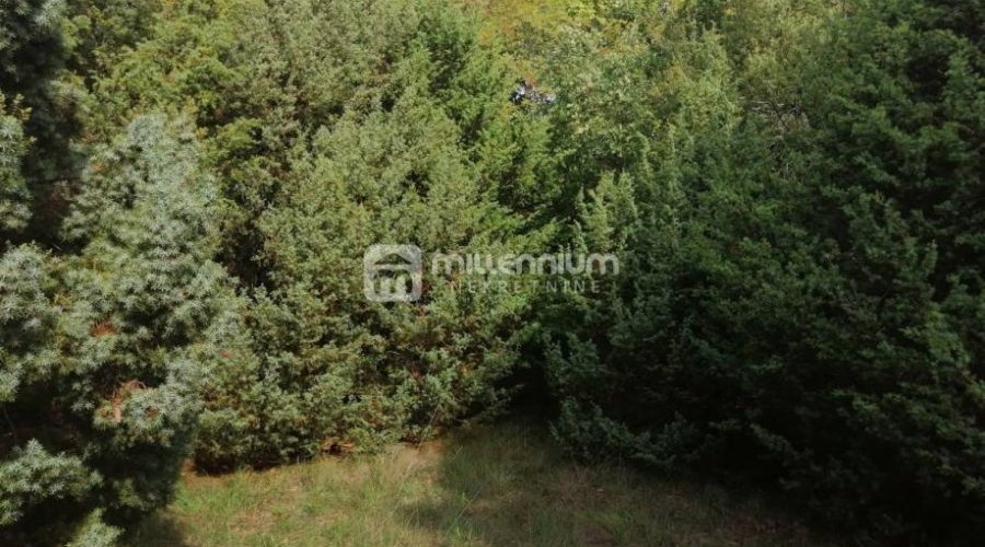 Istra, okolica Bala, poljoprivredno zemljište od 35.000m2 - 5