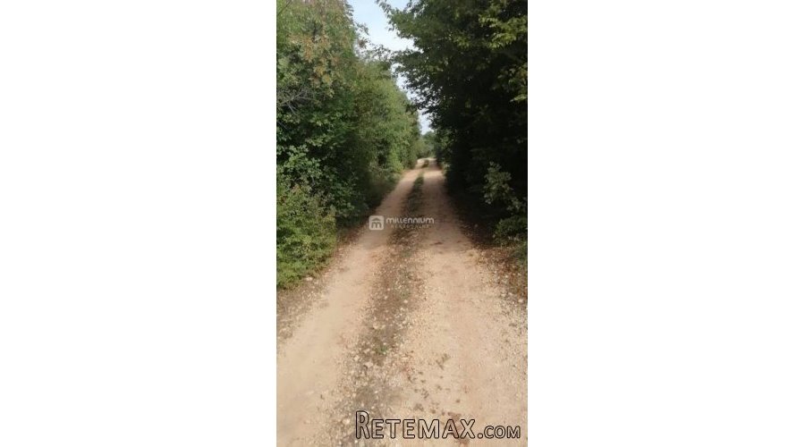 Istra, okolica Bala, poljoprivredno zemljište od 35.000m2 - 6