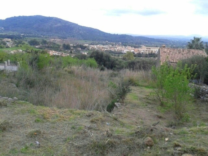 4 Bedrooms - Finca - Islas Baleares -.. - 2