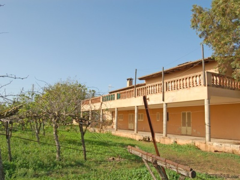 Fruit Farm With Enormous Potential In..