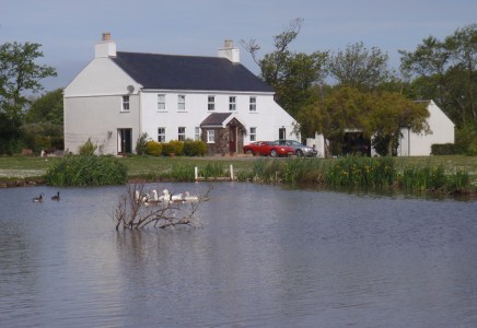 Property Wise - Estate Agents Isle of.. - 2