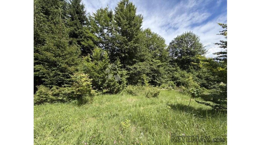 GORSKI KOTAR STARI LAZ, 3970m2 djelomično građevinsko - 2