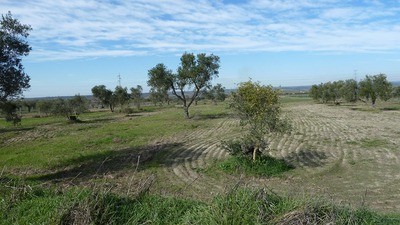 Land - Awaiting further details for..