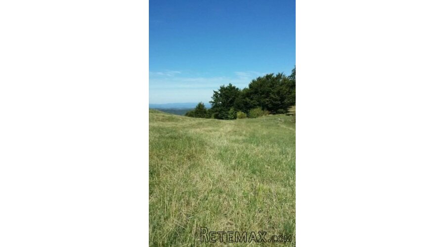 Plac ispod Cigote-Zlatibor