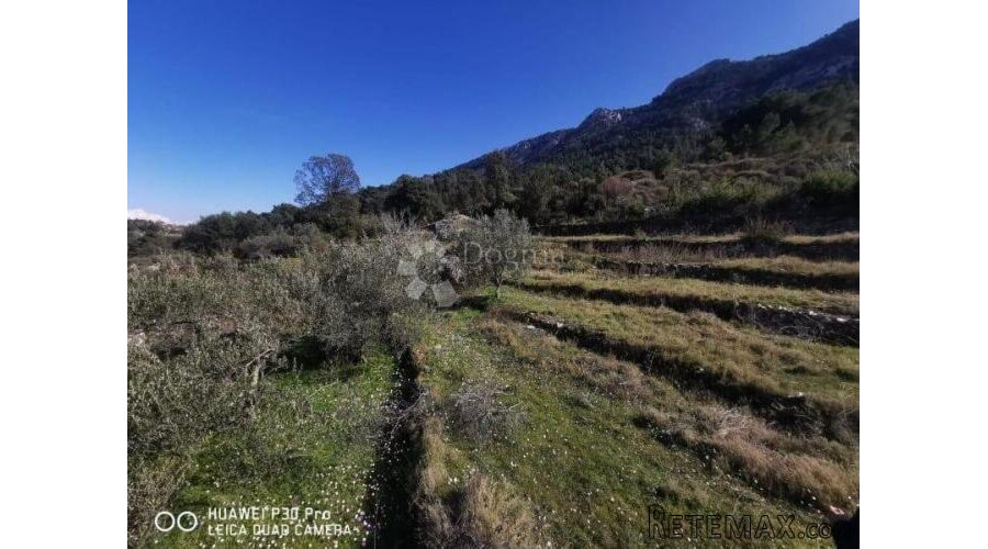 Poljoprivredno zemljište Hvar 48000m2