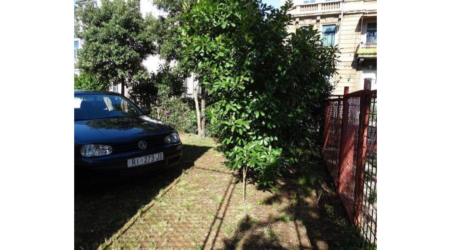 Poslovni prostor blizu Centra s parkingom ! - 2