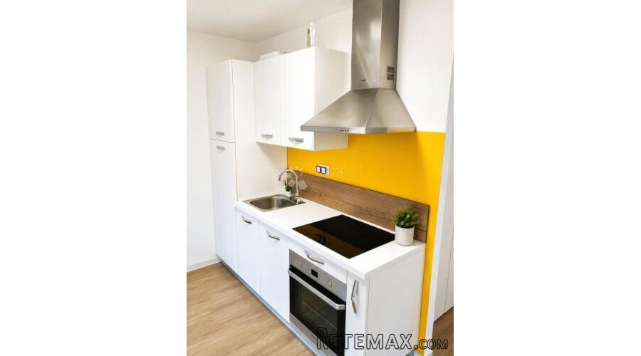 NOVIGRAD (okolica)- Stan 300m od mora