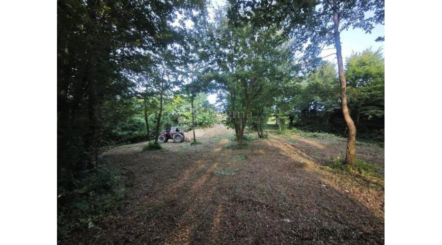 Građevinsko zemljiste Pazin 1209m2 - 2