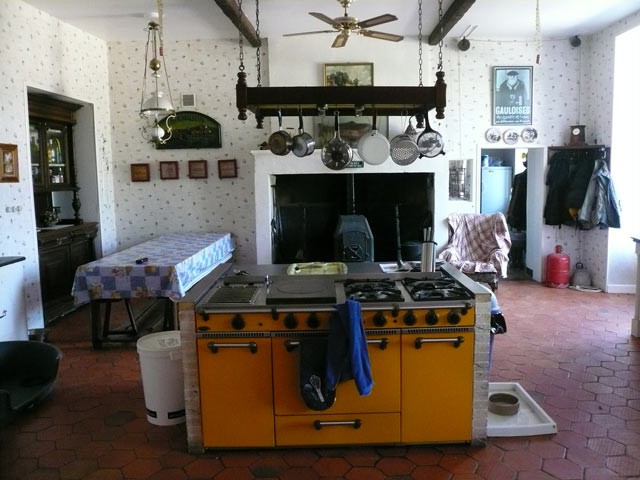 Splendid Master House In The Charente.. - 2