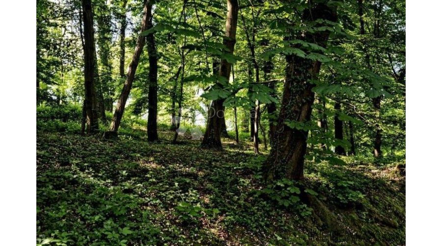 Poljoprivredno zemljište šuma i zelena zona - 2