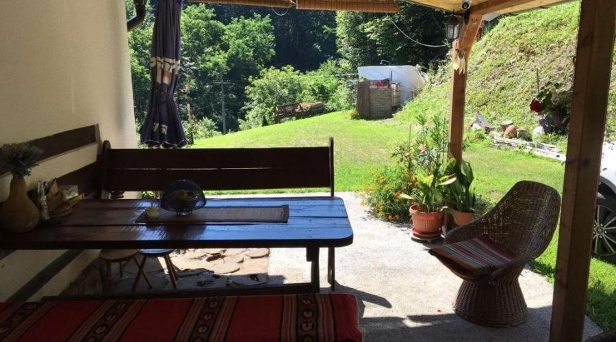 Kuca kljuc u ruke sa plantazom borovnice - 10