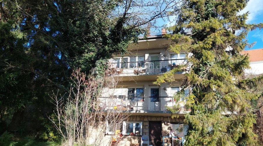Kuća sa velikim potencijalom