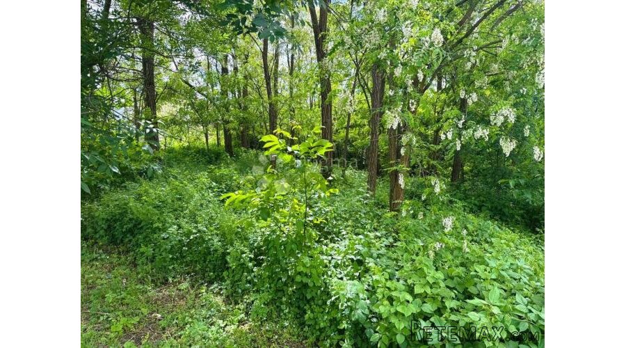 Građevinsko zemljište 2265 m² u Hlapičini
