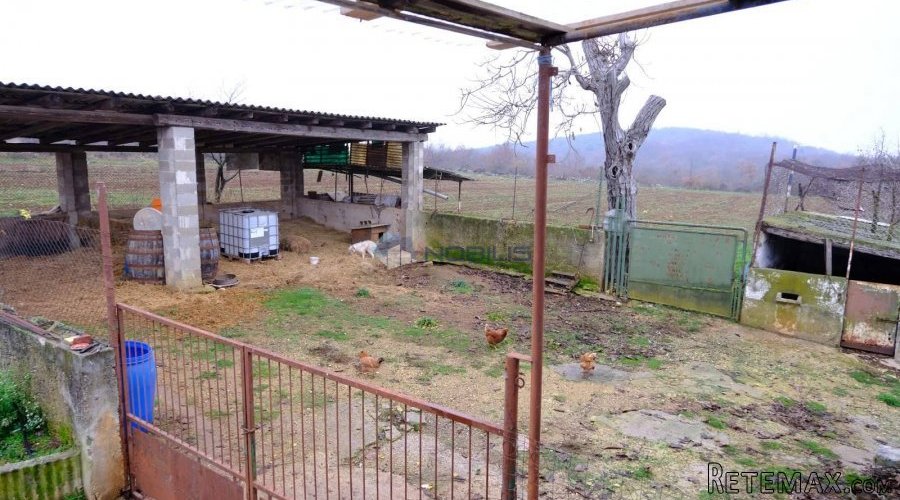 Istra, Bale, 50000m2, šume 24000m2, stara kuća, dvorište - 10