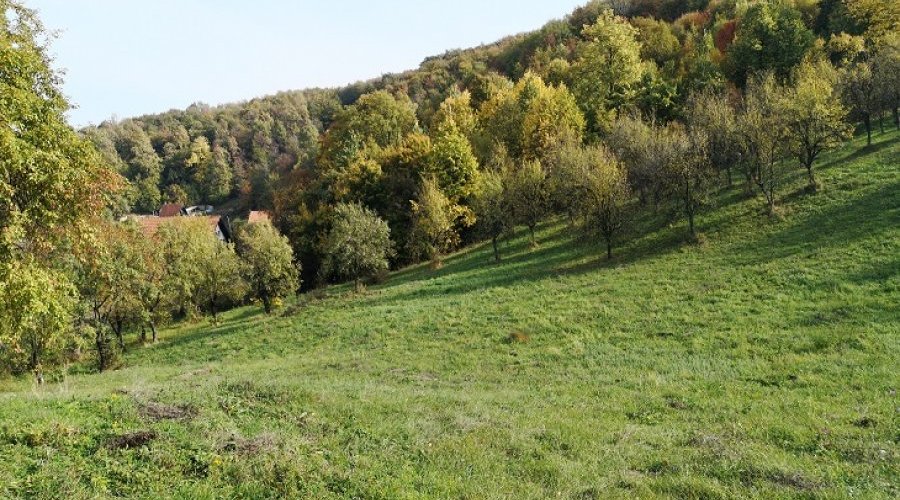 Plac u Banji Koviljaci
