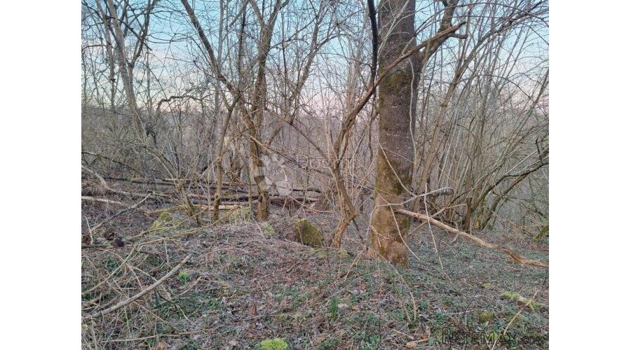 5km od toplica, malo građevinskog, malo poljoprivrednog - 3