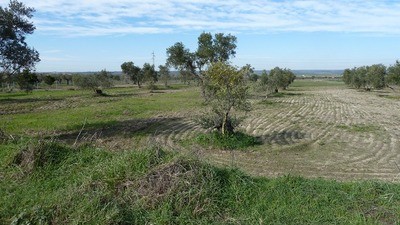 Land - Awaiting further details for.. - 2