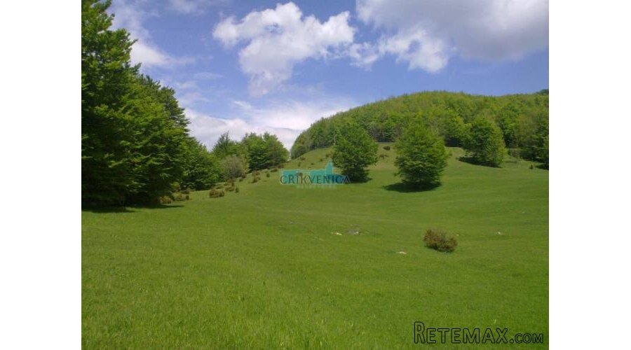 LEPENICE - 19 000 m2 - 2