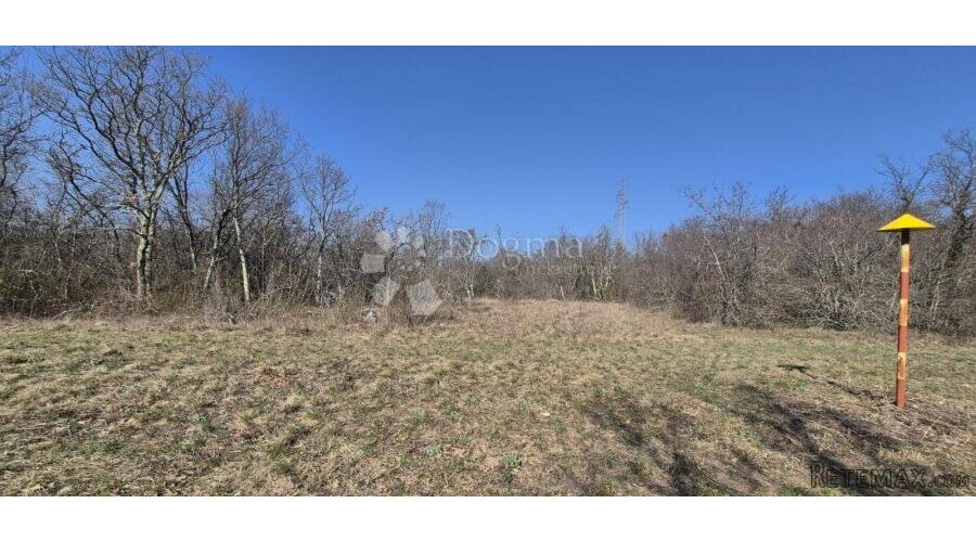Poljoprivredno zemljište 4630 m2 - 3