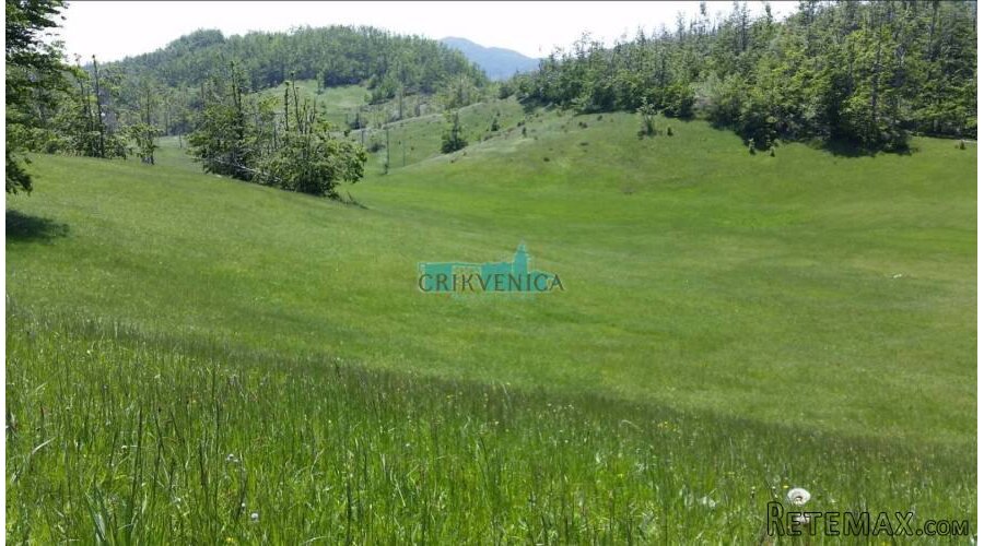 LEPENICE - 19 000 m2