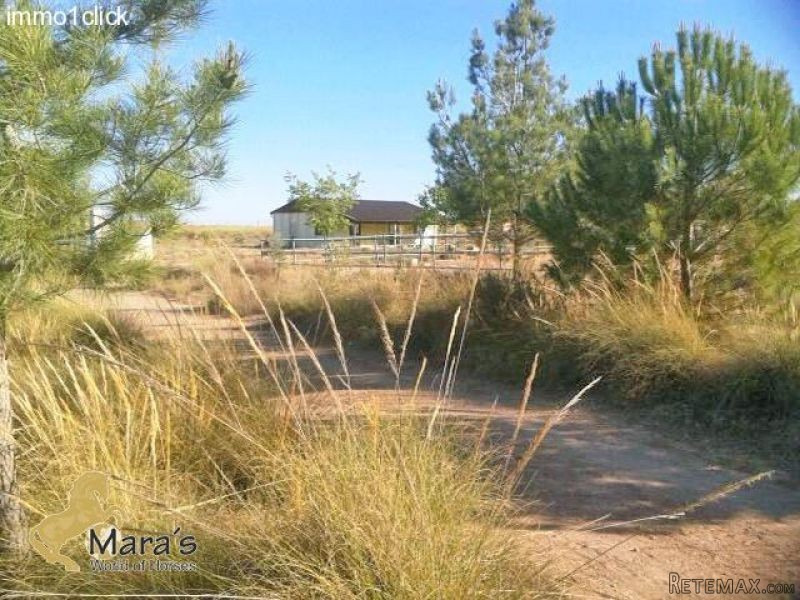 Lorca: Finca, Horseranch, countryhouse.. - 2