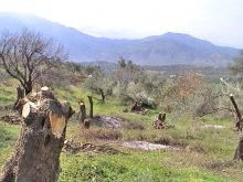 Sea View Land For Sale In Crete - 2