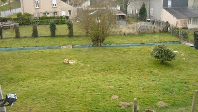Three Properties, Huge Potential - 2