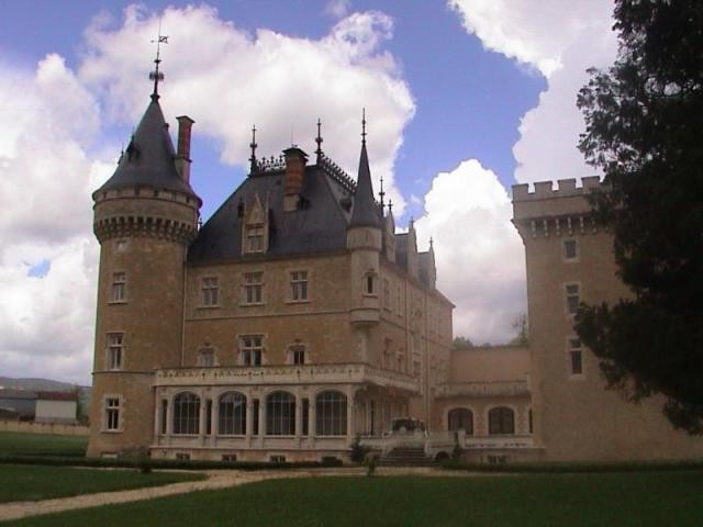 24 bedroom castle for sale - 2