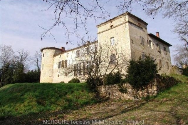 6 bedroom Castle For Sale: 81000 TARN