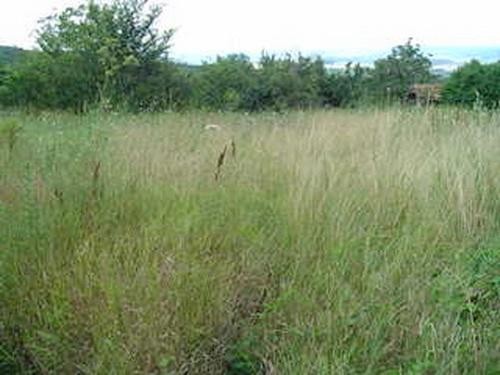 Prime plot of building land close to.. - 2