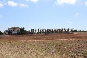 Finca near beaches that could be..