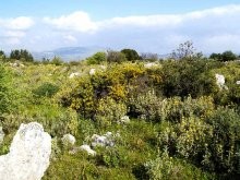 Land In Crete - 2