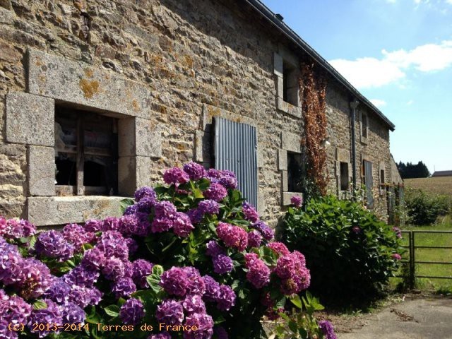 Large Spacious Farm In The Country.. - 2