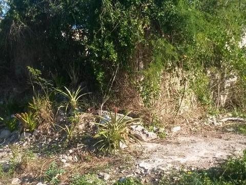 Singlefamilyvacant - Lot#2 - All that.. - 2
