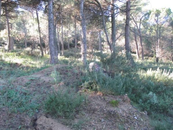 RUSTIC LAND IN BEGUR - 2
