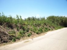Crete Property - 2
