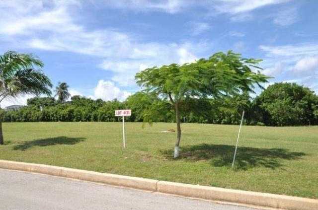 Property For Sale: Heron Mill Lot 31.. - 2