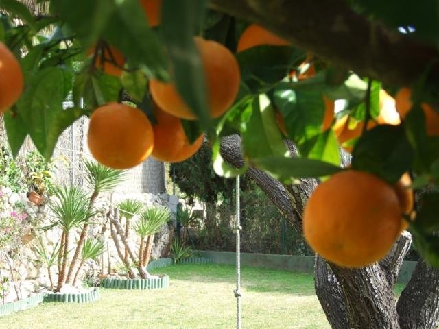 Villa in Javea - 2