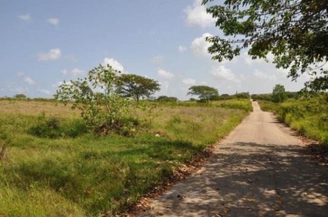 Property For Sale: Applegrove Estate.. - 2