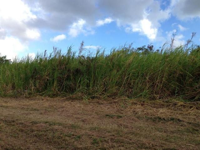 Property For Sale: Frere Pilgrim Lot..
