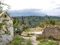 At The Outskirt Of A Traditional.. - 2