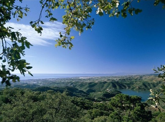 Building Plot for sale in Sierra Blanca..