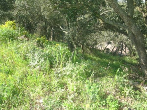 PLOT IN BEGUR WITH VIEWS TO THE TOWN - 2