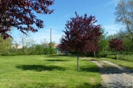 Stone House For Sale St Etienne La.. - 2