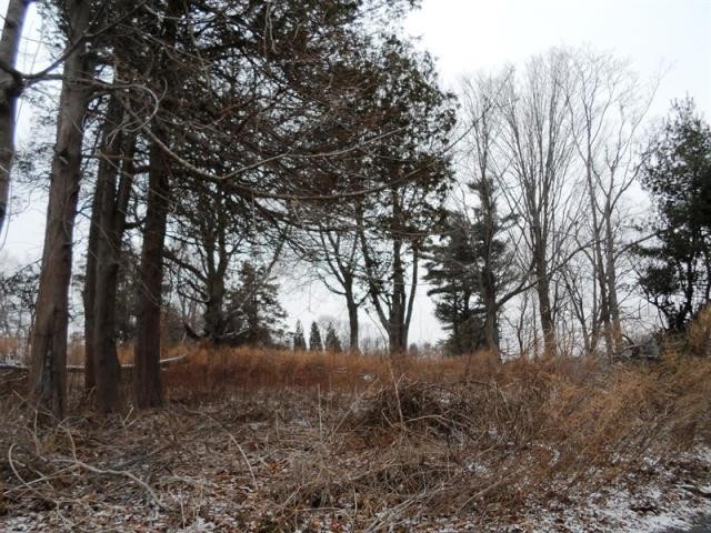 Land For Sale: Elmsford, New York - 2