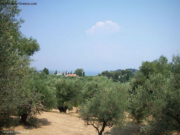Land - Zakynthos - For Sale